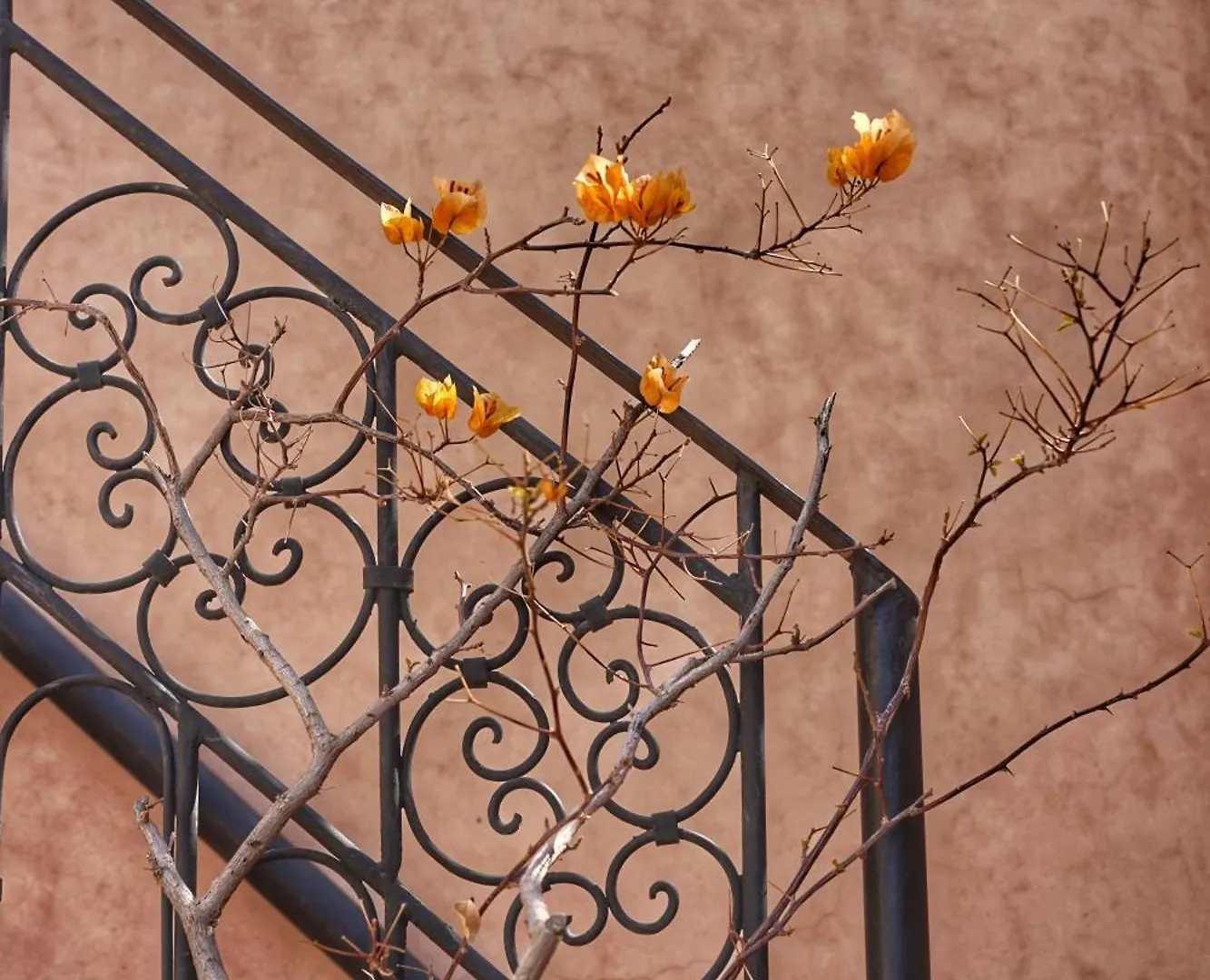 Dar Al Amal Bed & Breakfast Marrakesh